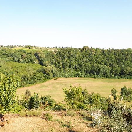 Podere Calcinaia Castelnuovo Berardenga Dış mekan fotoğraf