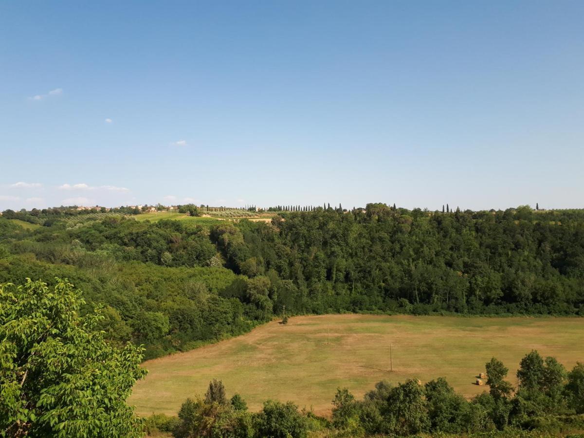 Podere Calcinaia Castelnuovo Berardenga Dış mekan fotoğraf
