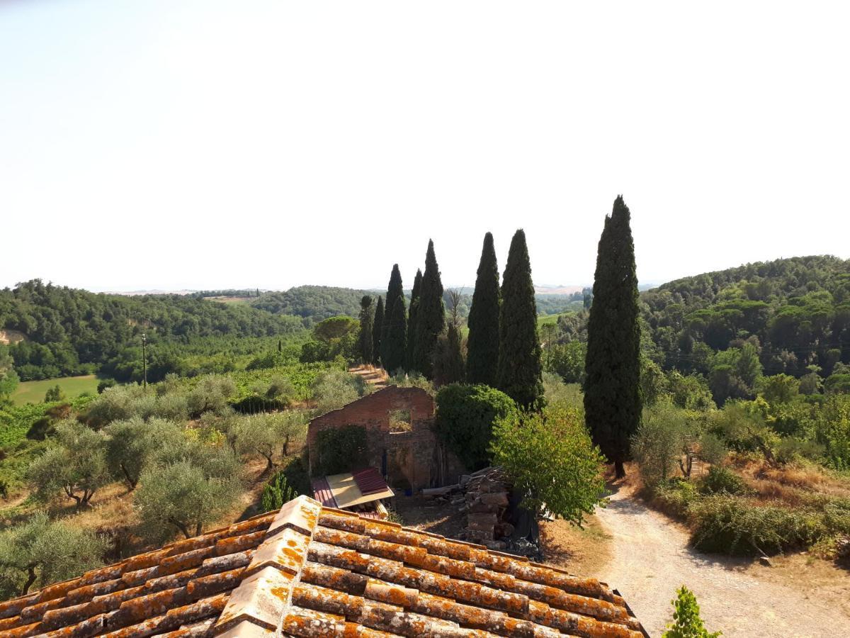 Podere Calcinaia Castelnuovo Berardenga Dış mekan fotoğraf
