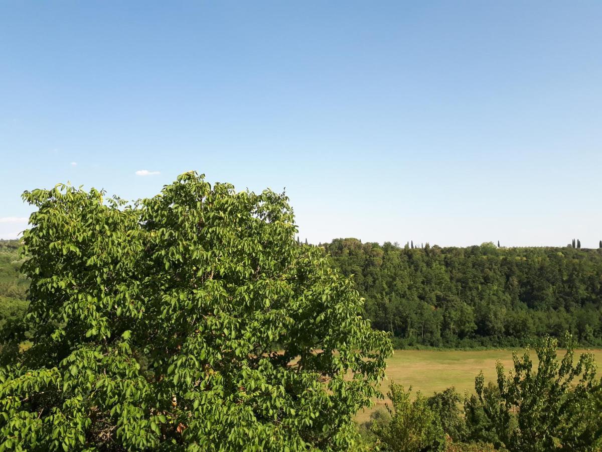 Podere Calcinaia Castelnuovo Berardenga Dış mekan fotoğraf