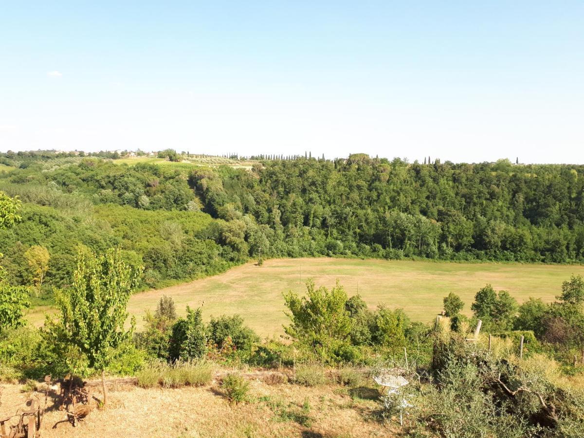 Podere Calcinaia Castelnuovo Berardenga Dış mekan fotoğraf