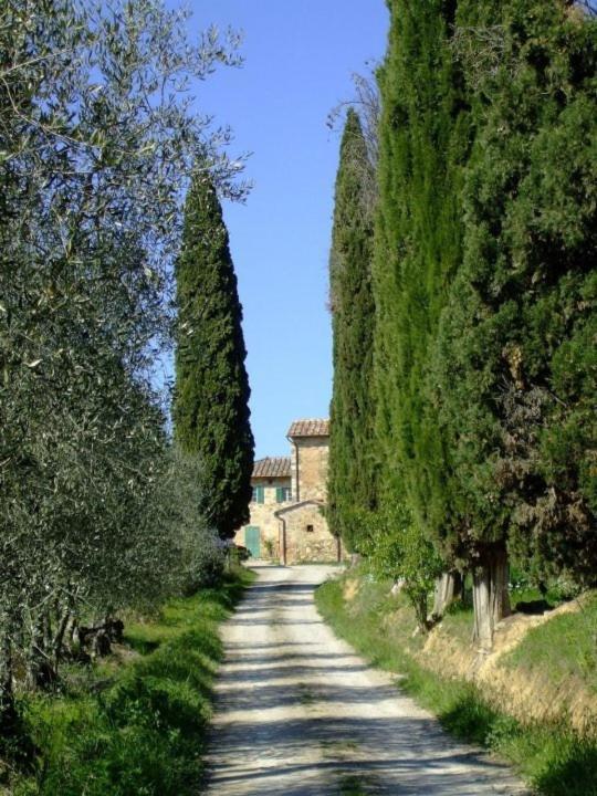 Podere Calcinaia Castelnuovo Berardenga Dış mekan fotoğraf