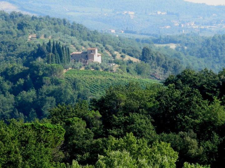 Podere Calcinaia Castelnuovo Berardenga Dış mekan fotoğraf