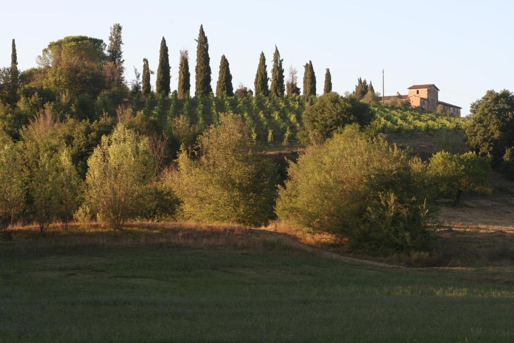 Podere Calcinaia Castelnuovo Berardenga Dış mekan fotoğraf